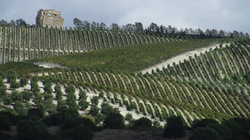 Tierra Albariza