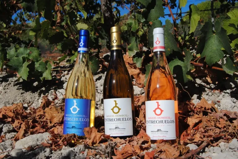 Foto en la que se muestran tres botellas de Entrechuelos, vinos de cádiz, sobre la tierra de su viñedo