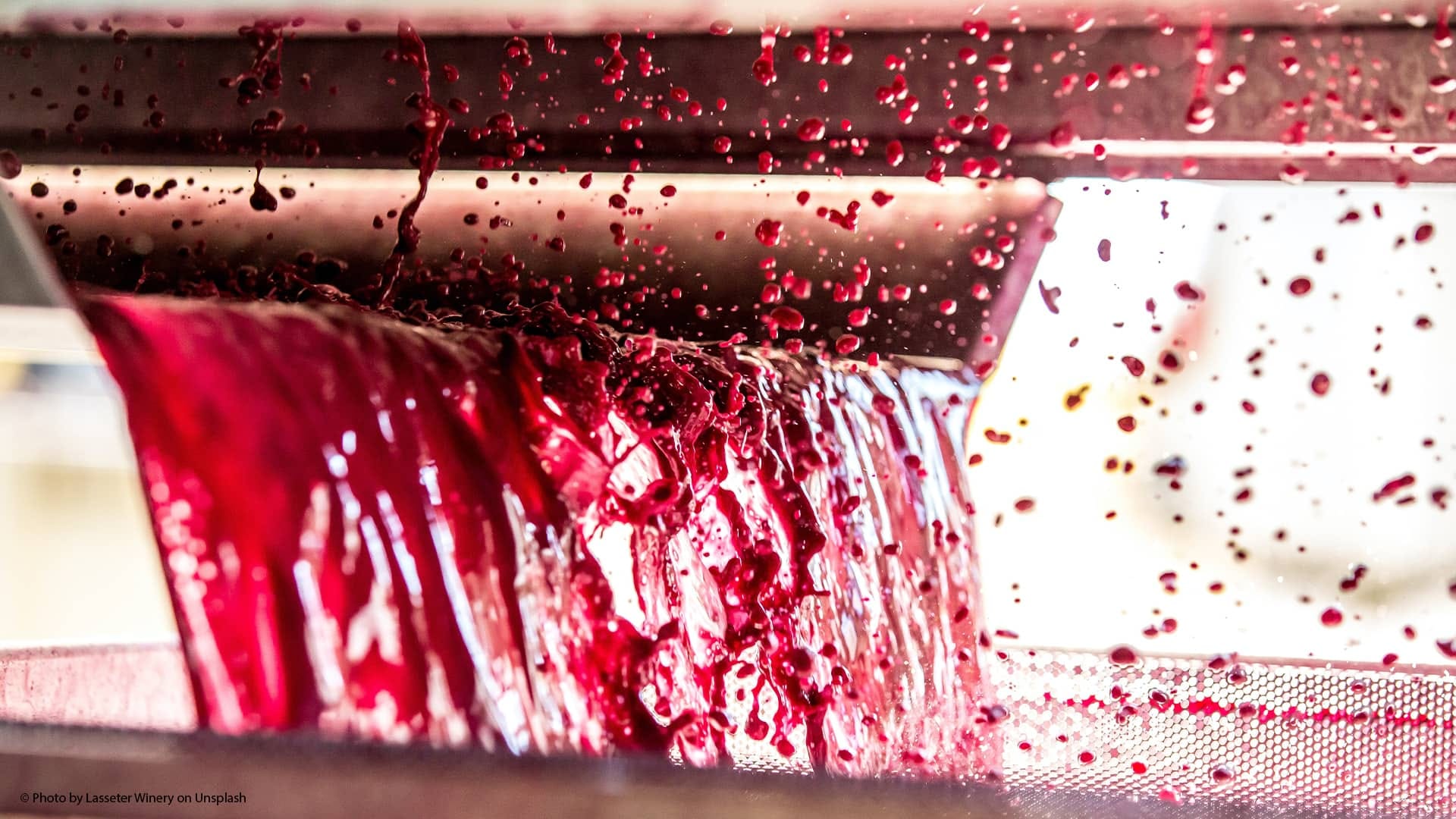 Enología, el arte de elaborar vino