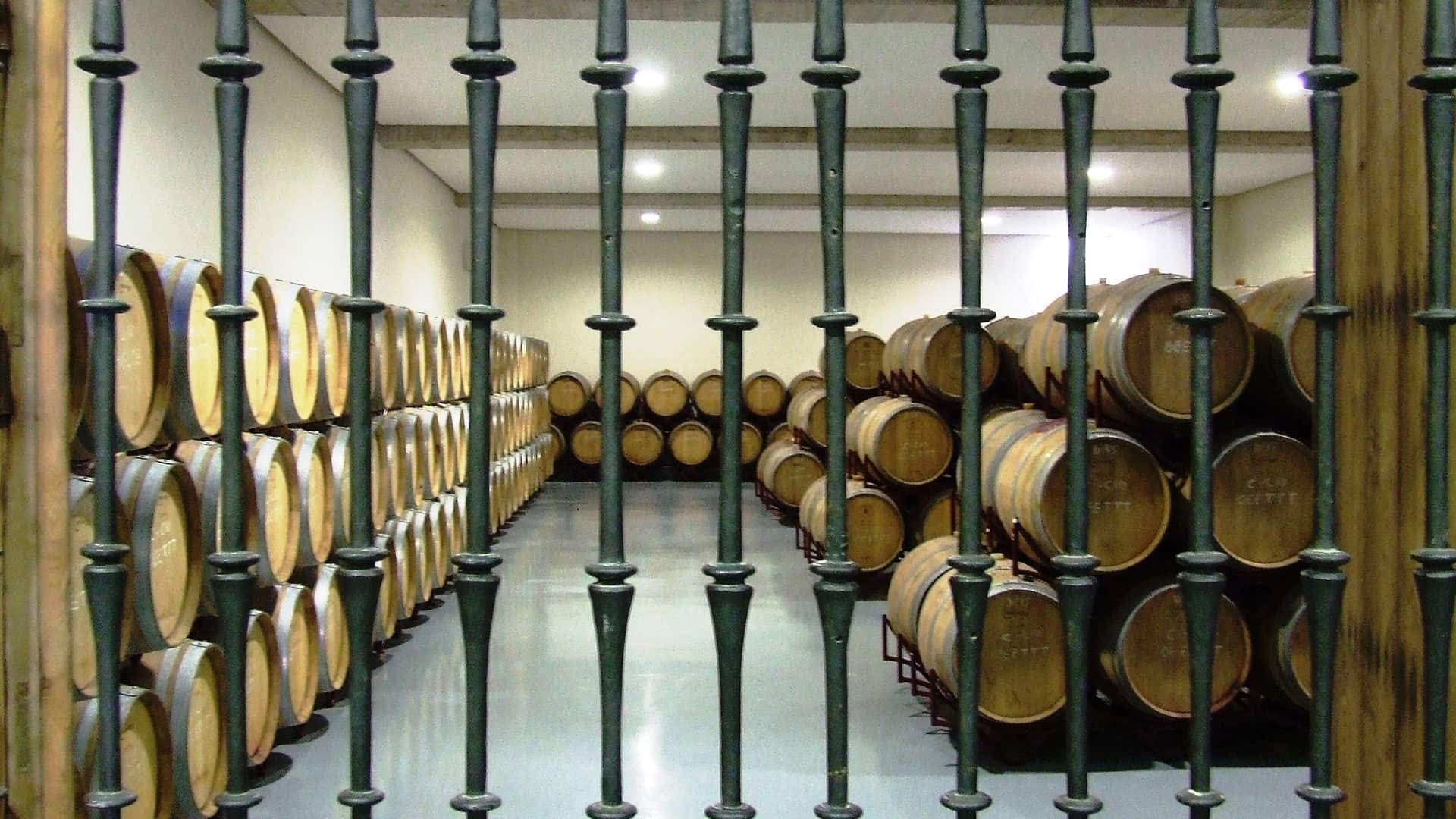Enología, todo lo que debes saber para entender de vinos