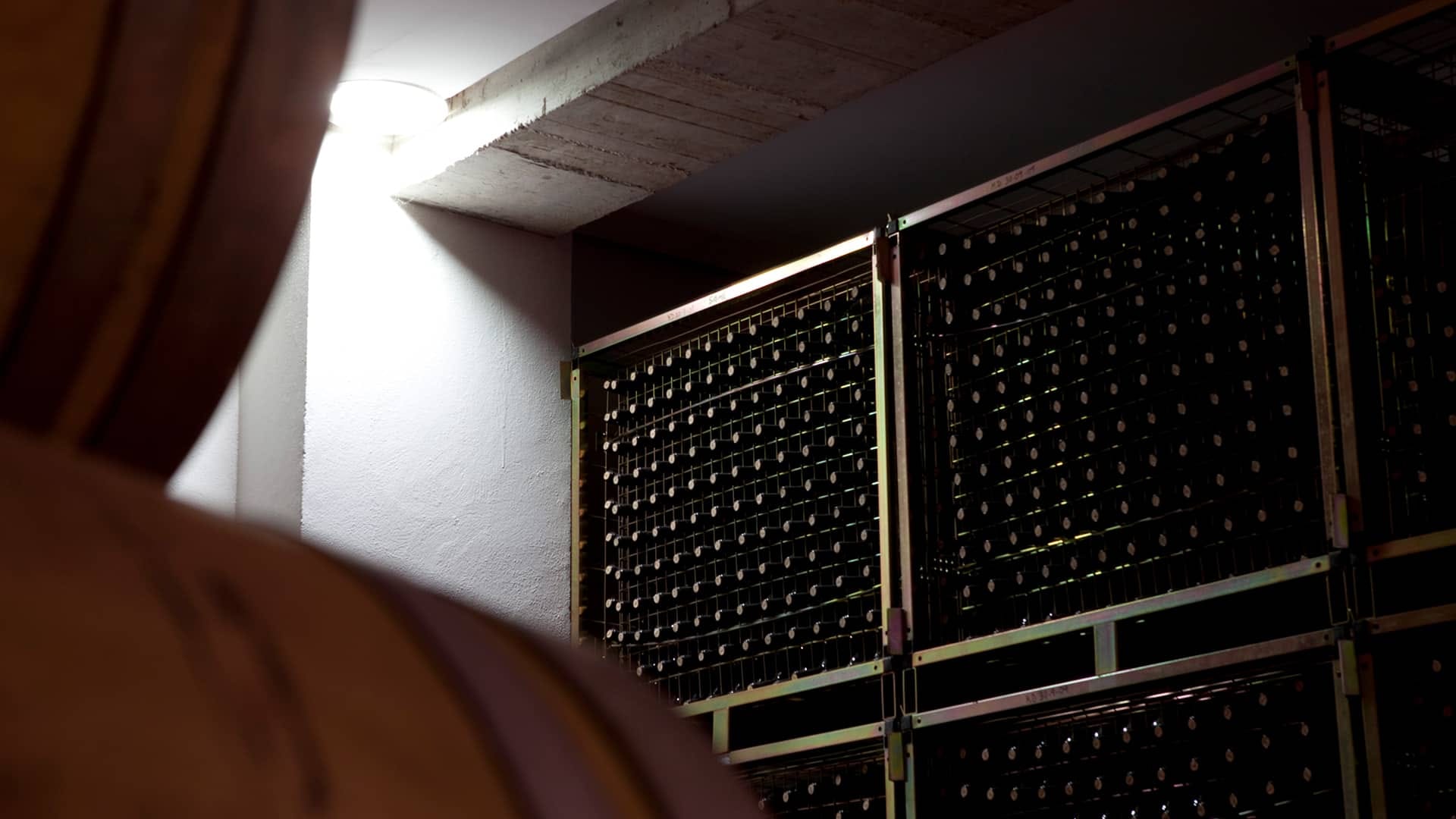 Enología. El blog de la elaboración de vinos
