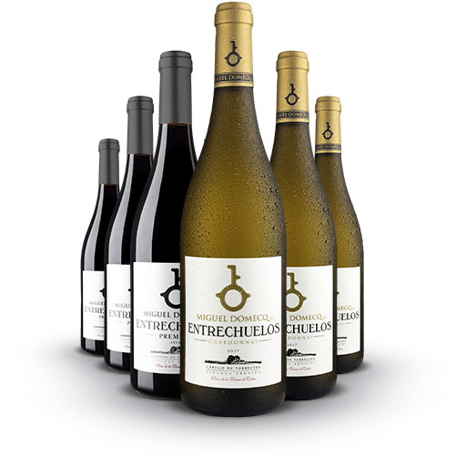 Pack Chardonnay & Premium vinos de la Tierra de Cádiz