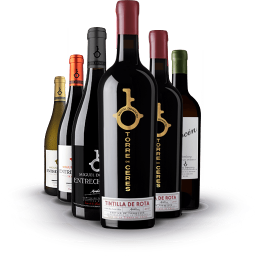 pack super premium vinos de la tierra de cadiz domecq 2026