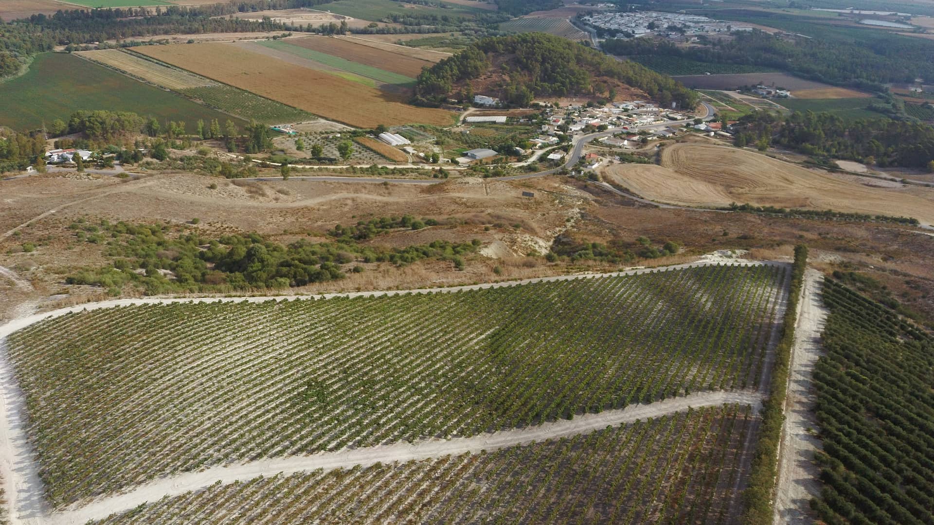 Toda la actualidad del vino del Marco de Jerez