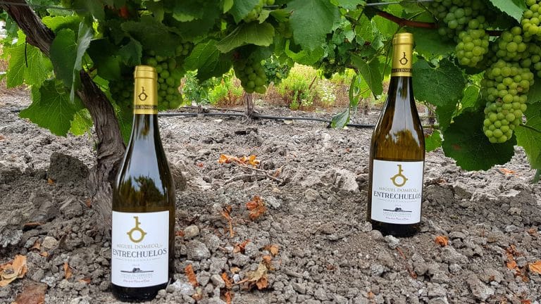 Vino español, para los verdaderos amantes del vino