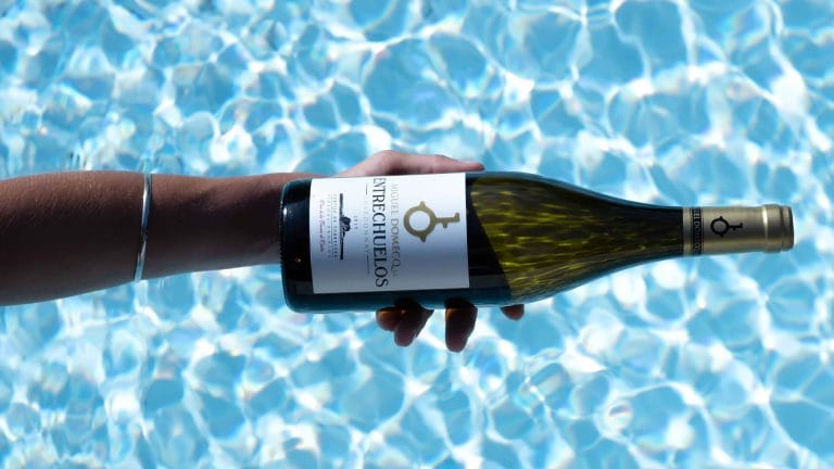 Vinos de verano: Recomendaciones de vinos frescos