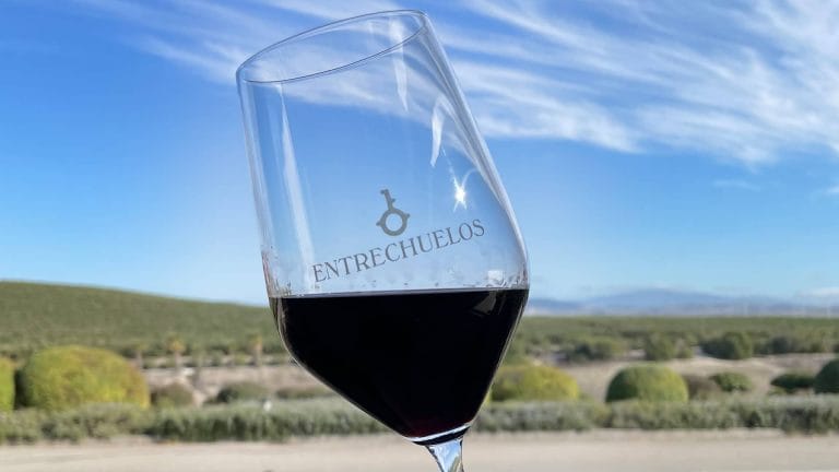Selección de Vinos tintos de Cádiz