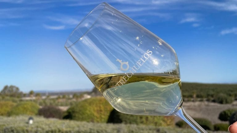Vinos blancos afrutados: una selección de la Tierra de Cádiz