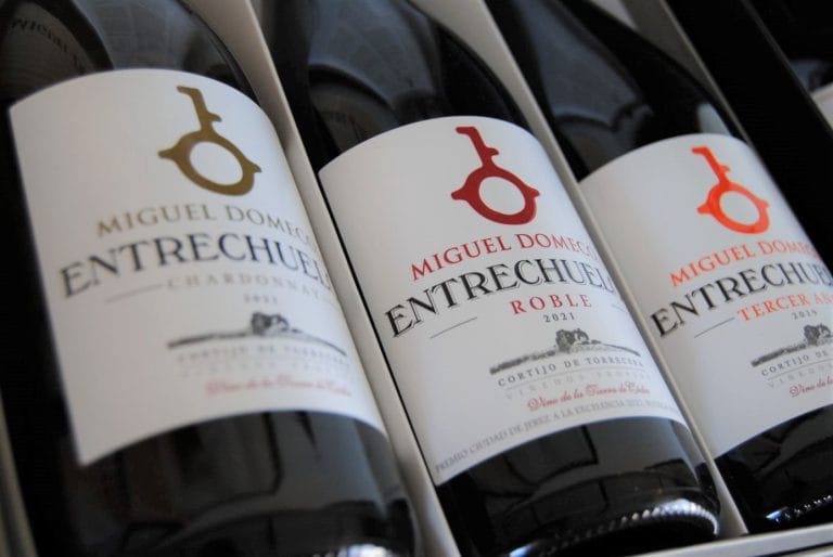 Temperatura ideal vino tinto