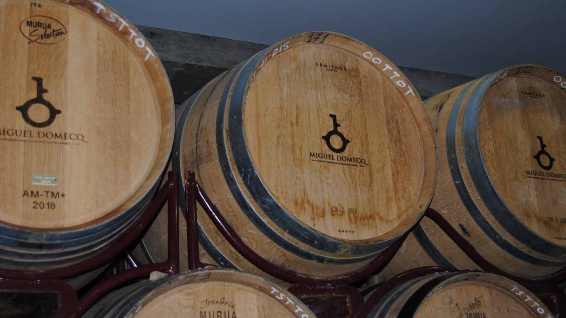 Levaduras y la fermentación del vino